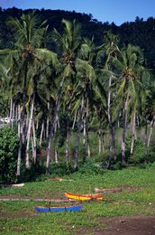 Boats;-Canoes;-Coconut-palms;-Colours;-Comoros-Archipelago;-France;-Hill;-Indian-Ocean;-Kaleidos;-Kaleidos-images;-La-parole-à-limage;-Laurent-Abad;-Mayotte;-Outrigger-canoe;-Stories-Pictures;-Vegetation